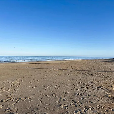 Flat Petit Cuberdon -