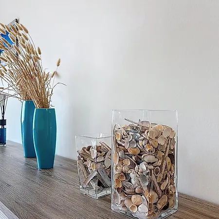 Flat Petit Cuberdon - * De Panne
