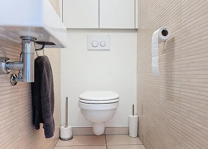 Flat Petit Cuberdon - De Panne